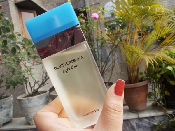 Dolce & Gabbana Light Blue Womens EDT Perfume, 100ml - Image 4