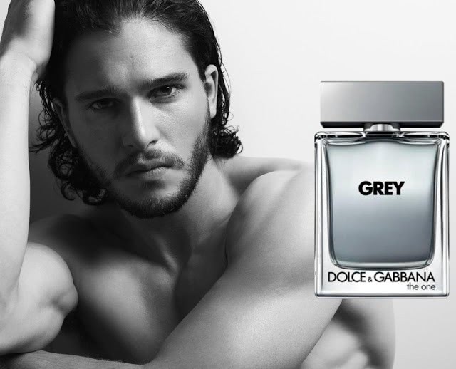 grey dolce gabbana